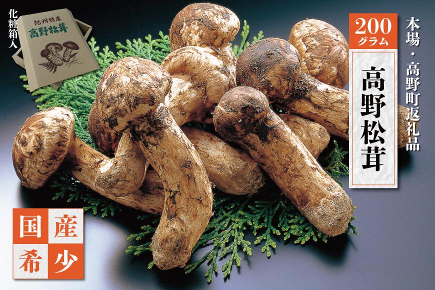 【2025年発送分】香り・歯応え・味ともに最高級！希少な国産松茸「高野松茸」200g【化粧箱入】