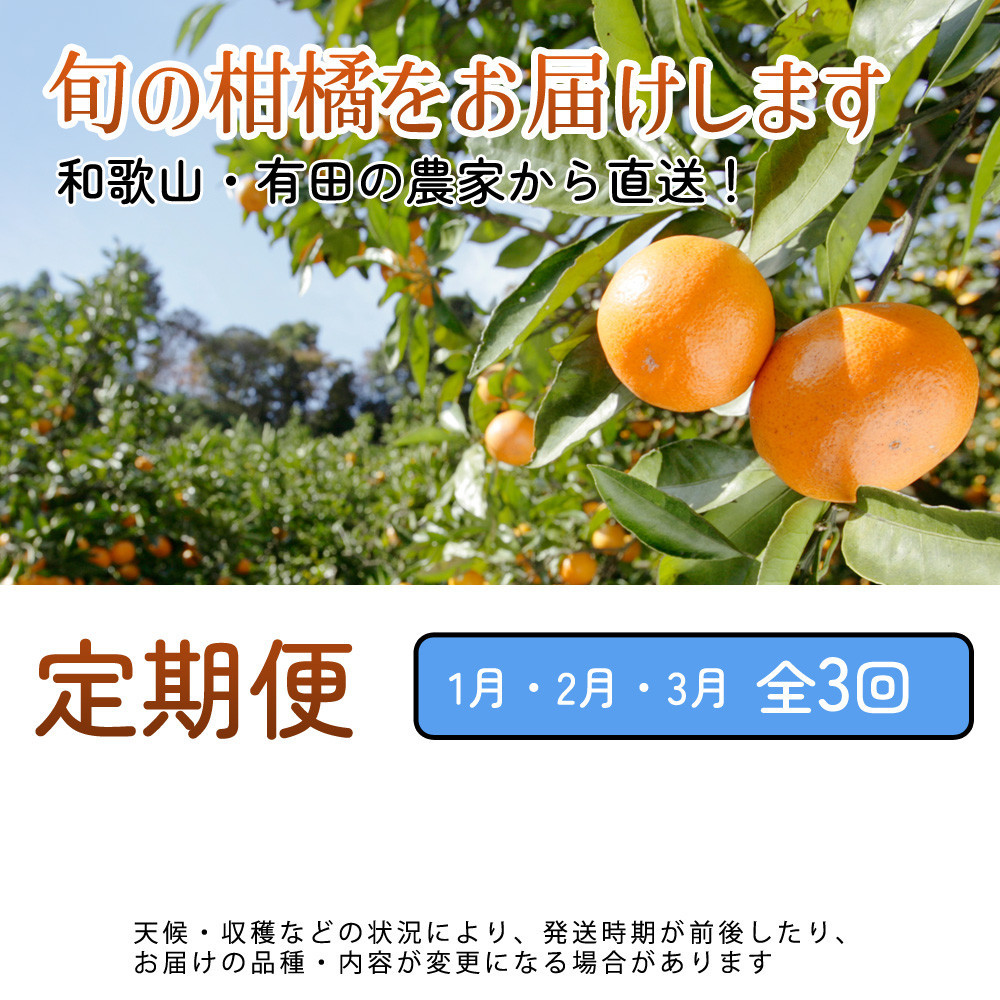 厳選 柑橘定期便S（1〜3月）全3回［IKE288］