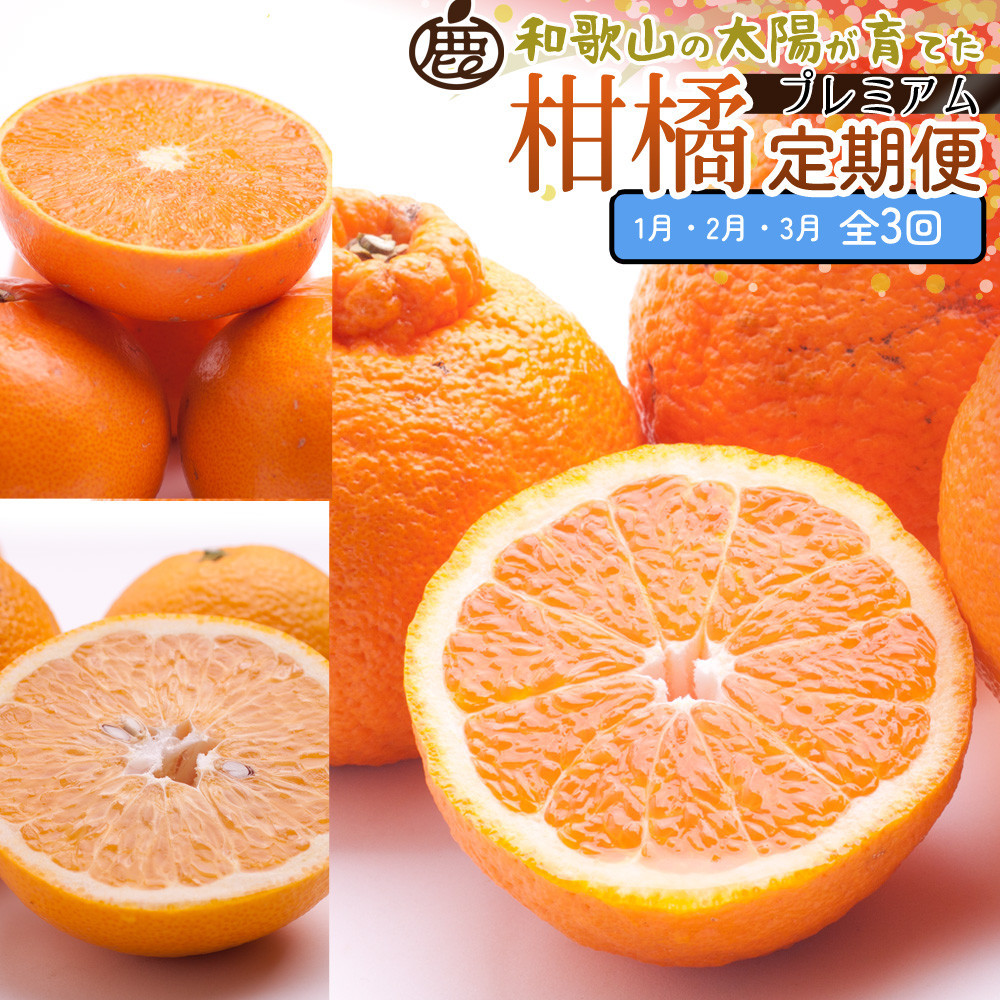 厳選 柑橘定期便S（1〜3月）全3回［IKE288］