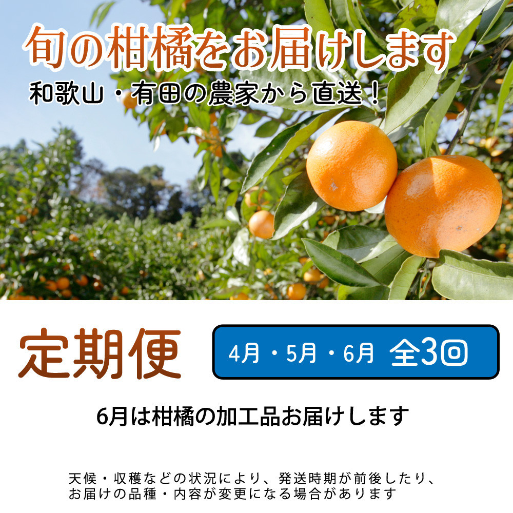 厳選 柑橘定期便S（4〜6月）全3回 ［IKE289］