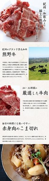 辭企守央 A4莉・荳 髴憺剄繧 襍、霄ォ 縺薙∪蛻繧 500g