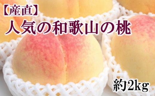 ［産直・人気の特産品］和歌山の桃　約2kg・秀選品★2026年6月下旬～8月中旬頃順次発送★［TM167］