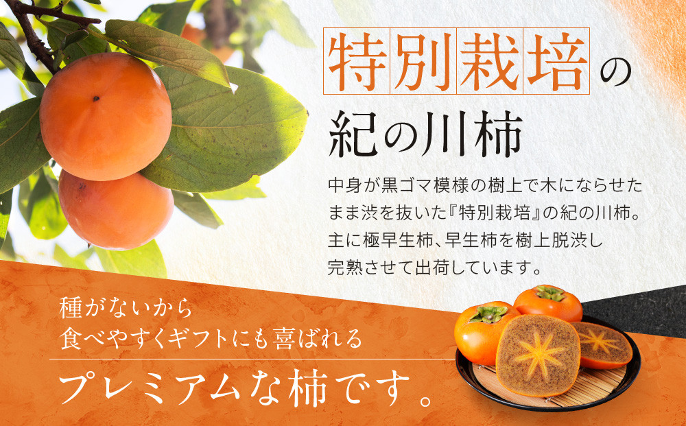 ［2026年発送分］先行予約！ 紀の川柿（果実の中身が黒い！黒蜜柿）希少栽培！ 秀品 6個〜9個 こだわり農家厳選！［KG34］