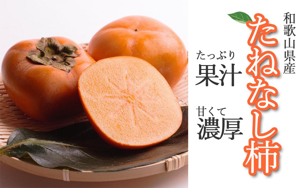 ＜10月より発送＞たねなし柿 約2.5kg［刀根早生・平核無柿（ひらたねなしかき）］［カキ・種無柿・種無し柿・種なし柿・無核柿］［IKE95］