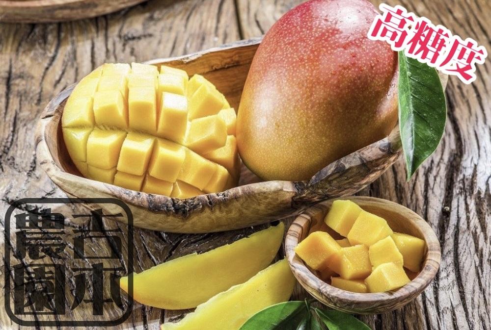 ◆先行予約◆和歌山県産　紀州完熟マンゴー『吉玉』1玉入り［2026年7月下旬から8月下旬頃順次発送予定］［MG21］