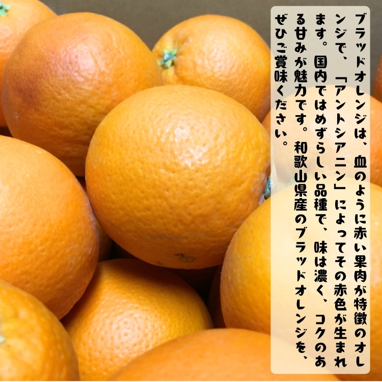 シサ鬮倡エ壽汨讖假シス蜥梧ュ悟アア逵檎肇繝悶Λ繝繝峨が繝ャ繝ウ繧ク 繧ソ繝ュ繝繧ウ 邏2kgシサMS93シス