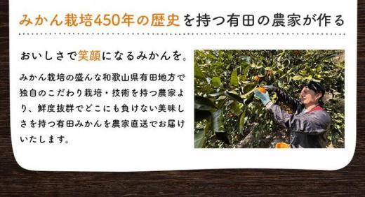 シサ蜈郁。御コ育エシス縺泌ョカ蠎ュ逕ィ 螳檎 譛臥伐縺ソ縺九s 5kgシサ2026蟷エ12譛育匱騾∽コ亥ョ夲シス險ウ縺ゅj 霎イ螳カ逶エ騾シサMS31-2シス