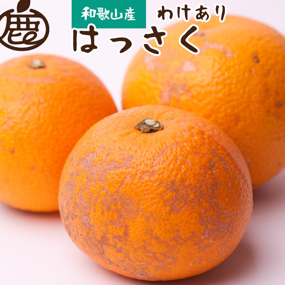 ［先行予約］家庭用 はっさく5kg+250g（傷み補償分）【八朔みかん】【訳あり・わけあり】［IKE29］
