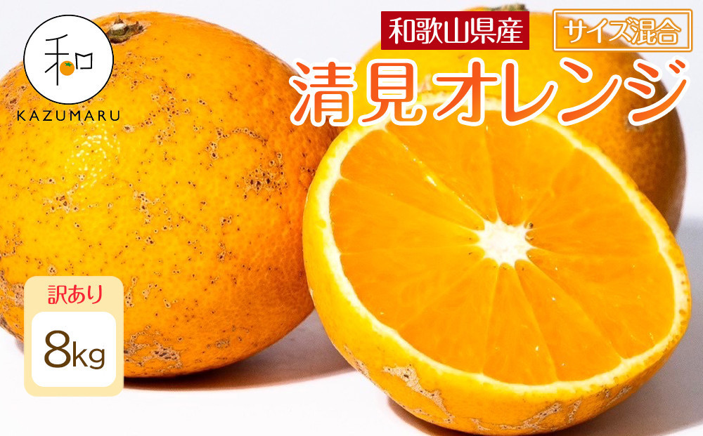 訳あり 森本農園の手選別 清見オレンジ 8kg 和歌山県産 サイズ混合 ［北海道・沖縄・離島配送不可］［RN25］［2026年2月上旬から5月中旬頃順次発送予定］