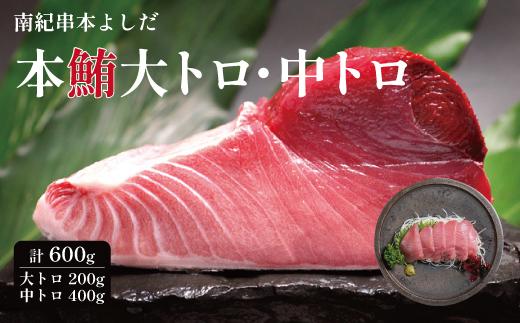 南紀串本よしだ 本鮪 大トロ サク 200g 中トロ サク 400gセット