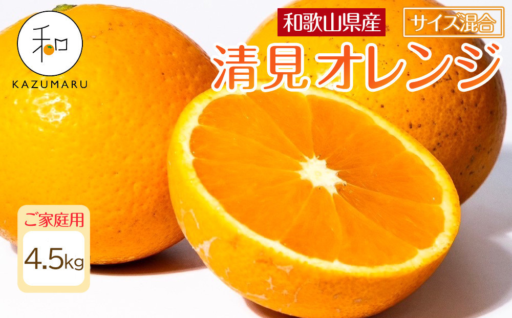 家庭用 森本農園の手選別 清見オレンジ 4.5kg 和歌山県産 サイズ混合 ［北海道・沖縄・離島配送不可］［RN22］［2026年2月上旬から5月中旬頃順次発送予定］