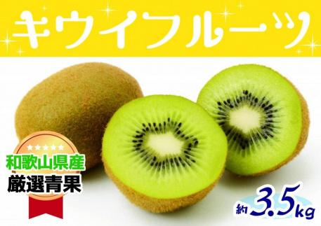 和歌山の太陽のめぐみたっぷり　キウイフルーツ(約３.５kg)★11月下旬〜12月上旬発送★