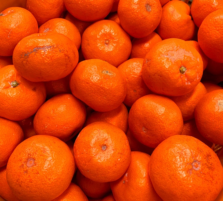 ［ご家庭用訳アリ］紀州有田産温州みかん7.5kg［2026年11月下旬以降発送］［先行予約］［UT10］