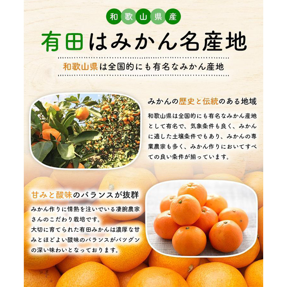 ［先行予約］ご家庭用 完熟 有田みかん 3kg［2026年12月発送予定］訳あり 農家直送［MS3-2］