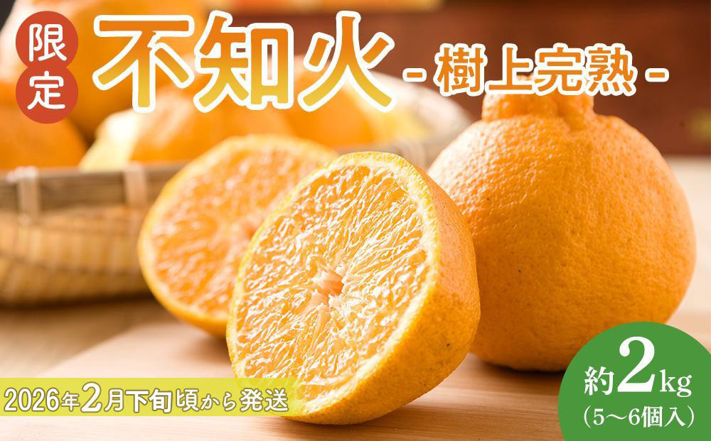 ［限定］不知火 樹上完熟 約2kg （5～6個入）［2026年2月下旬頃から3月下旬頃発送］［KG6］