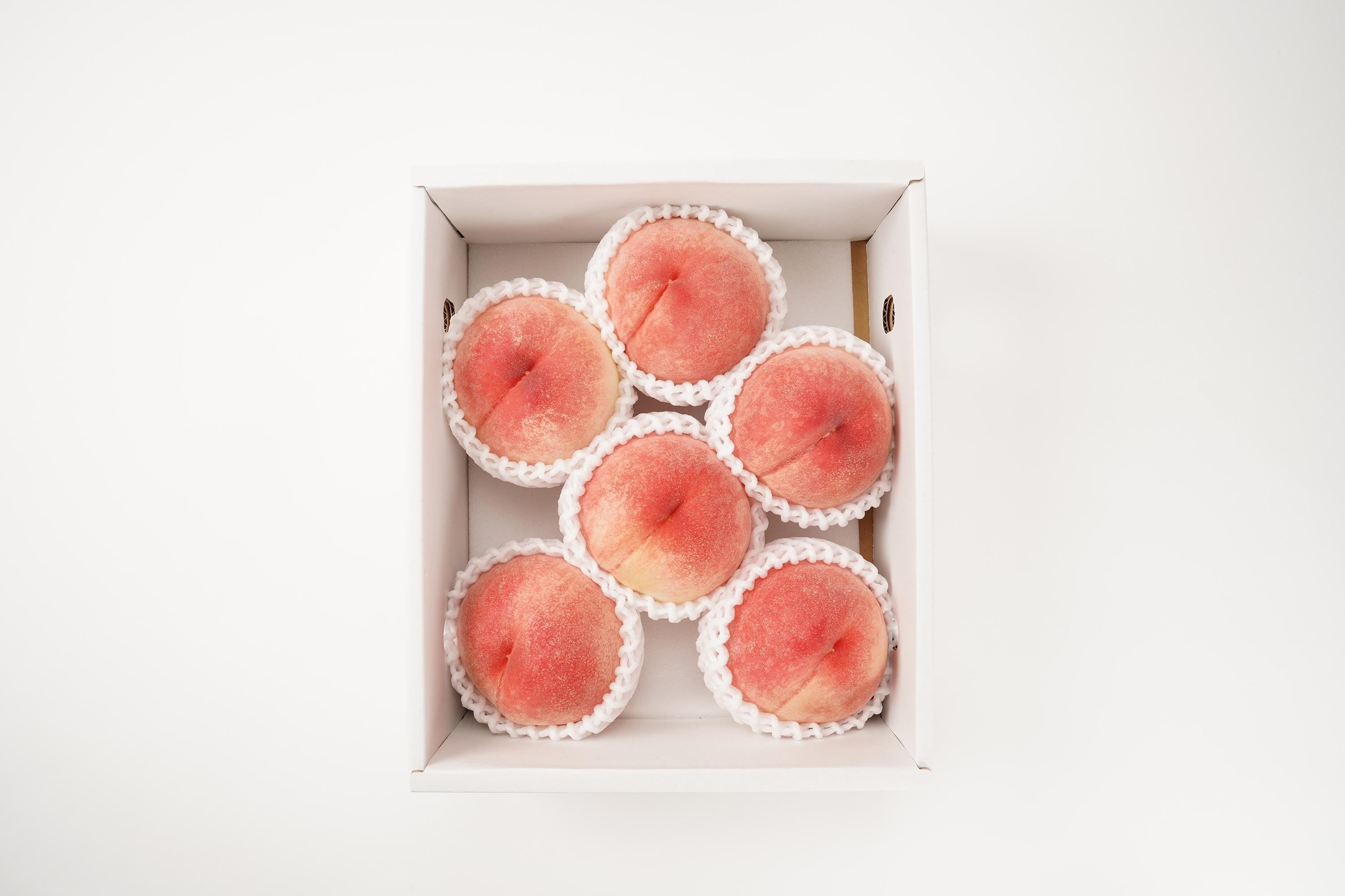 å
è¡è²©å£²ïŒïŒ»ã¢ã¢ïŒœ çœé³³ãæ¡ã®çæ§ïŒçŽ2kg6ïœ8å 2026幎6æäžæ¬é ããé æ¬¡çºéç§åãã ãã蟲家å³éž KG12