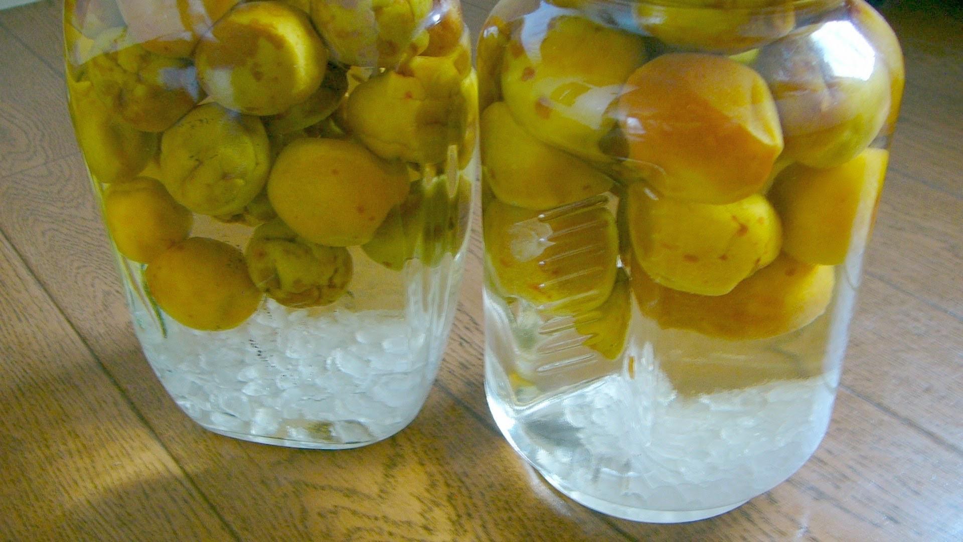 æ¢
å¹²ã»æ¢
é
çšïŒœïŒ4LãŸãã¯3LïŒ2KgïŒçå髿¢
ïŒ2026幎6æäžæ¬ïœ7æ7æ¥çºéäºå®ïŒãã«ãŒã æç© ãã ãã® é£å äººæ° ãããã éæç¡æïŒ»ART10