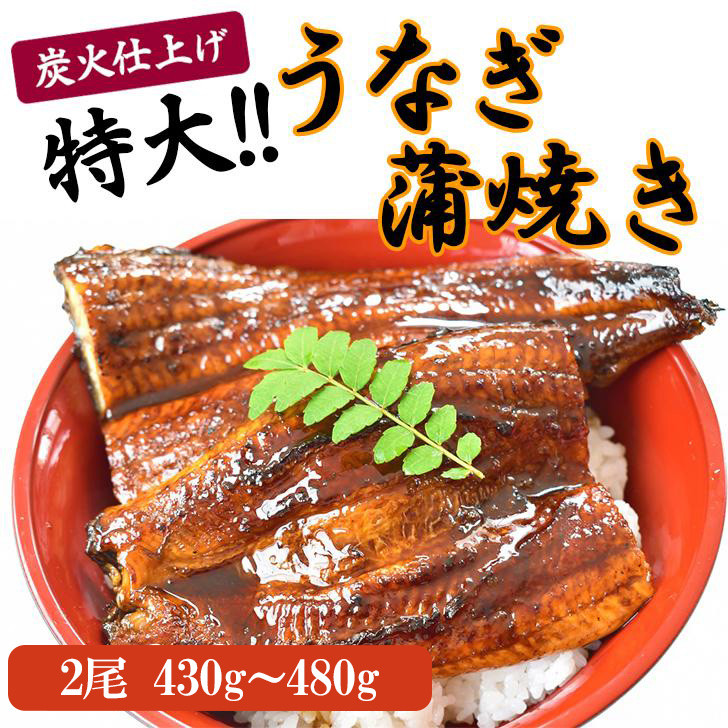 うなぎ蒲焼き2尾入り 430g～480g（蒲焼たれ4袋 山椒付き）［KS5］
