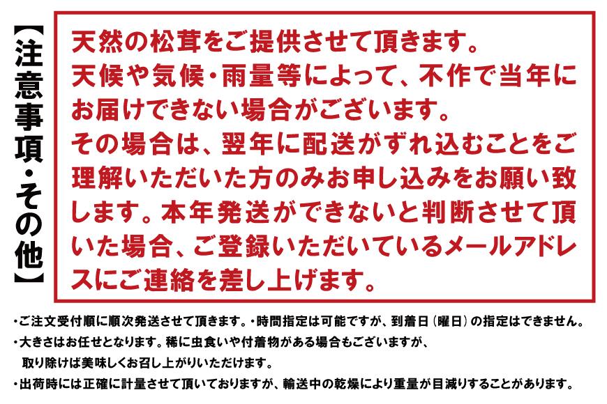 【2025年発送分】香り・歯応え・味ともに最高級！希少な国産松茸「高野松茸」200g【化粧箱入】