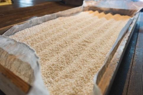 1升瓶 はつさくら古代徳利