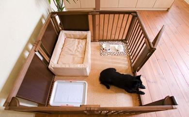 ãããçšæšè£œãµãŒã¯ã«ãããããµãŒã¯ã« F 60 XLïŒãã©ãŠã³è²ïŒããKR5ã