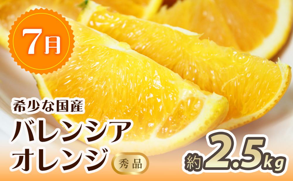 【7・8・10・11月 全4回】紀州和歌山産旬のフルーツセット（バレンシア・桃・ひらたねなし柿・富有柿）【UT81】