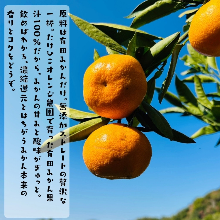 【無添加】有田みかん100%のジュース1,000ml×6本 みかんジュース 濃厚 柑橘 果物 フルーツ 甘い 100％ストレートジュース 【MS106】