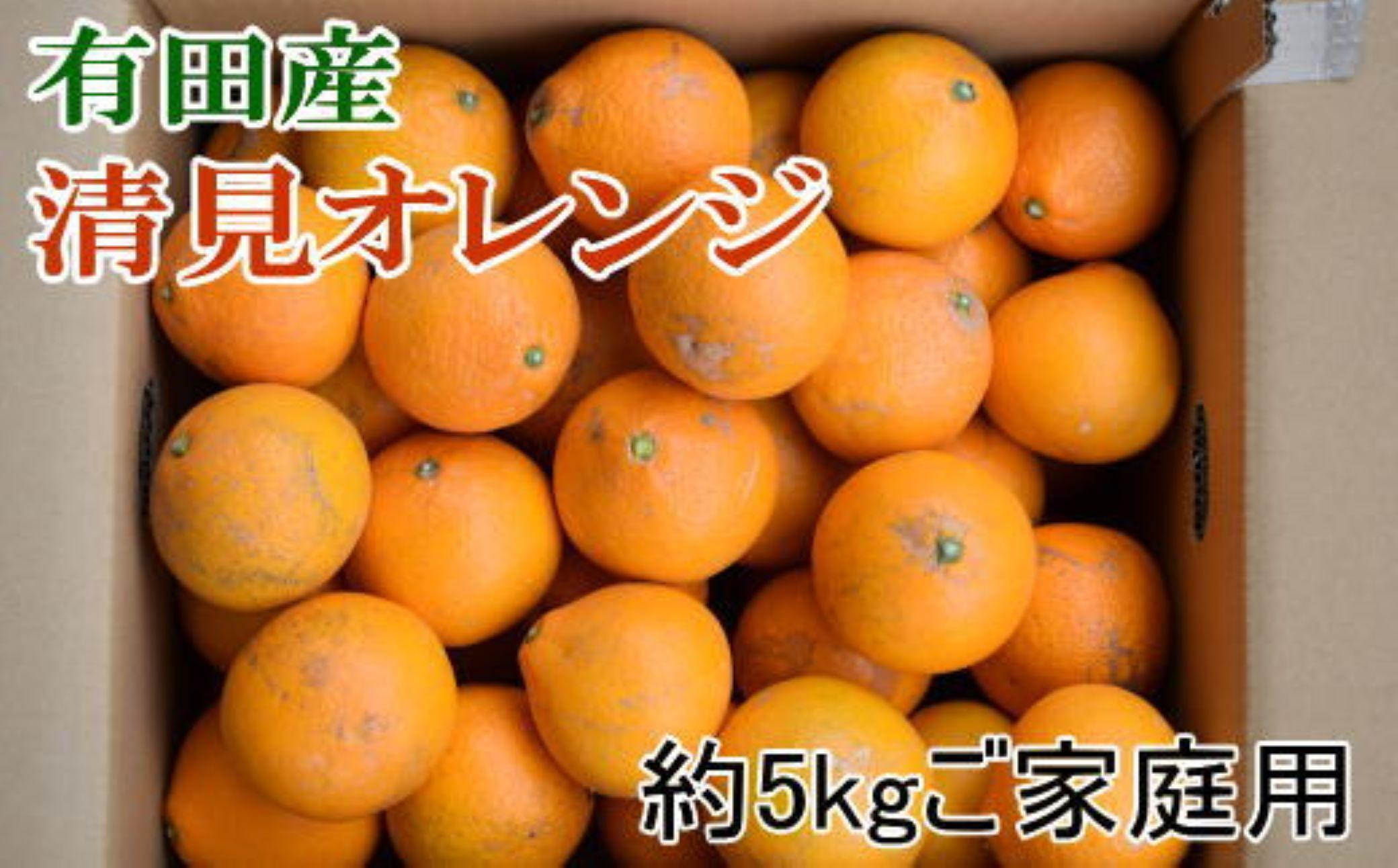 ［濃厚］有田産清見オレンジ約5kg(M～3Lサイズおまかせ、または混合)ご家庭用★2026年2月中旬頃より順次発送［TM211］