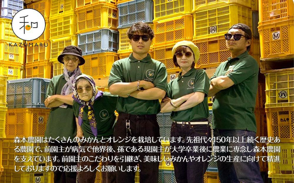 家庭用 森本農園の手選別ネーブルオレンジ 10kg 和歌山県産 サイズ混合 ［北海道・沖縄・離島配送不可］［RN35］［2026年1月上旬から順次発送］