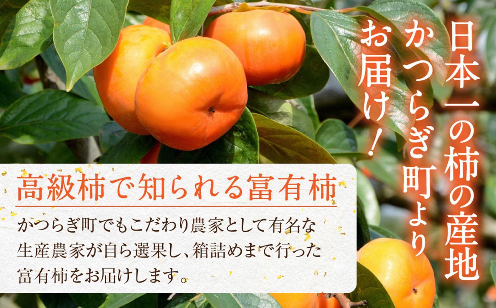 先行予約 富有柿 秀品6〜8個入り こだわり農家厳選［2026年11月初旬頃から12月上旬頃順次発送］［KG25］