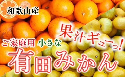 ［先行予約］家庭用 小さな有田みかん10kg+250g（傷み補償分）［2026年10月初旬から2027年1月末日頃順次発送予定］［IKE223］