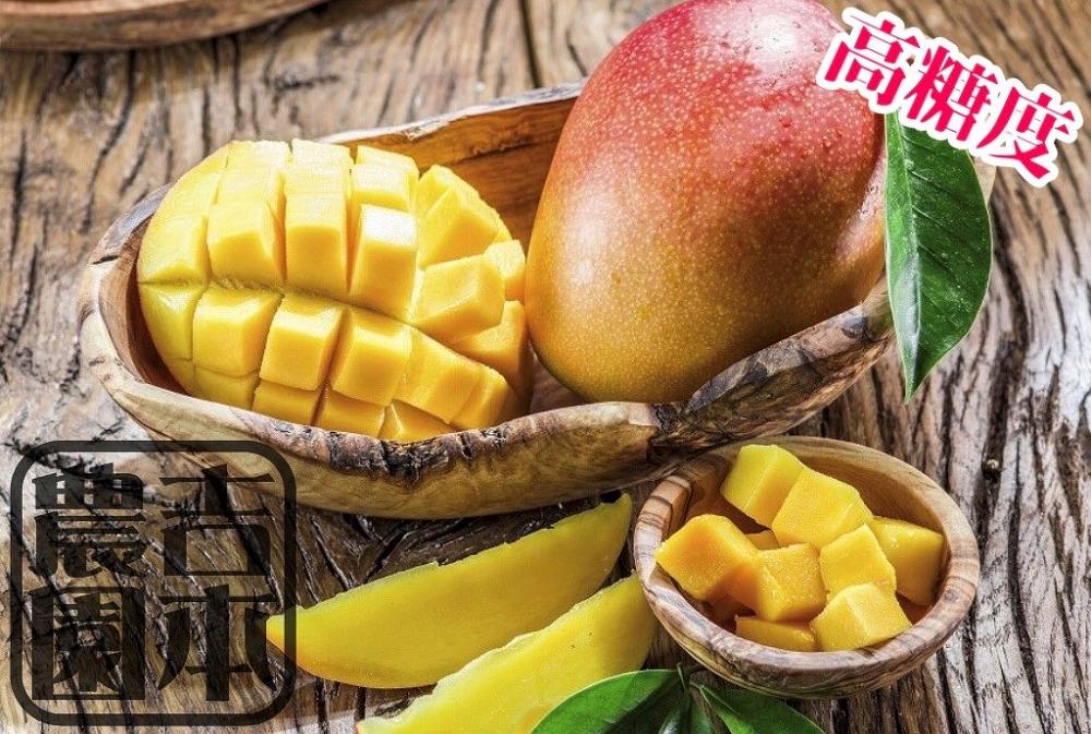 ◆先行予約◆和歌山県産　紀州完熟マンゴー『吉玉』約1kg程度／2〜3玉入り［2026年7月下旬から8月下旬頃順次発送予定］［MG20］