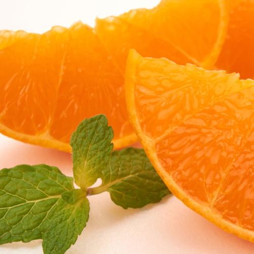 åæå±±æç°ã®æ¿åããšãïŒãå®¶åºçšïŒ çŽ4ïœ5kg å
è¡äºçŽïŒœ | ãã ãã® ãã«ãŒã æå® æç© æç° ã¿ãã åæå±±ãMS81