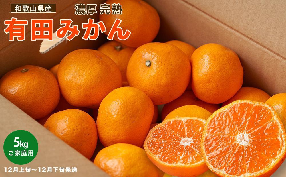 ［先行予約］ご家庭用 完熟 有田みかん 5kg［2026年12月発送予定］訳あり 農家直送［MS31-2］