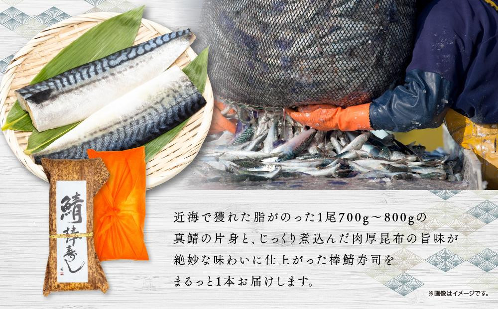 紀州和歌山の棒鯖寿司 2本 ［TM223］