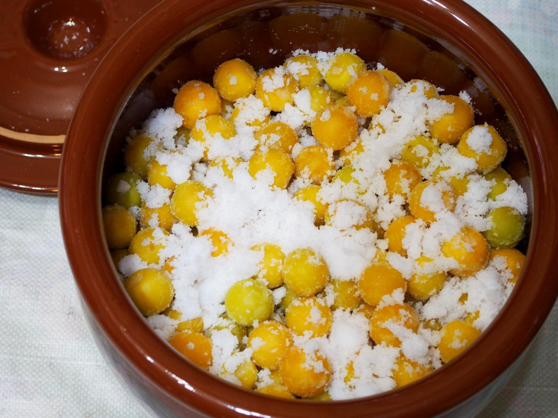 æ¢
å¹²ã»æ¢
é
çšïŒœïŒ3LãŸãã¯2LïŒ2KgïŒçå髿¢
ïŒ2026幎6æäžæ¬ïœ7æ7æ¥çºéäºå®ïŒãã«ãŒã æç© ãã ãã® é£å äººæ° ãããã éæç¡æïŒ»ART06