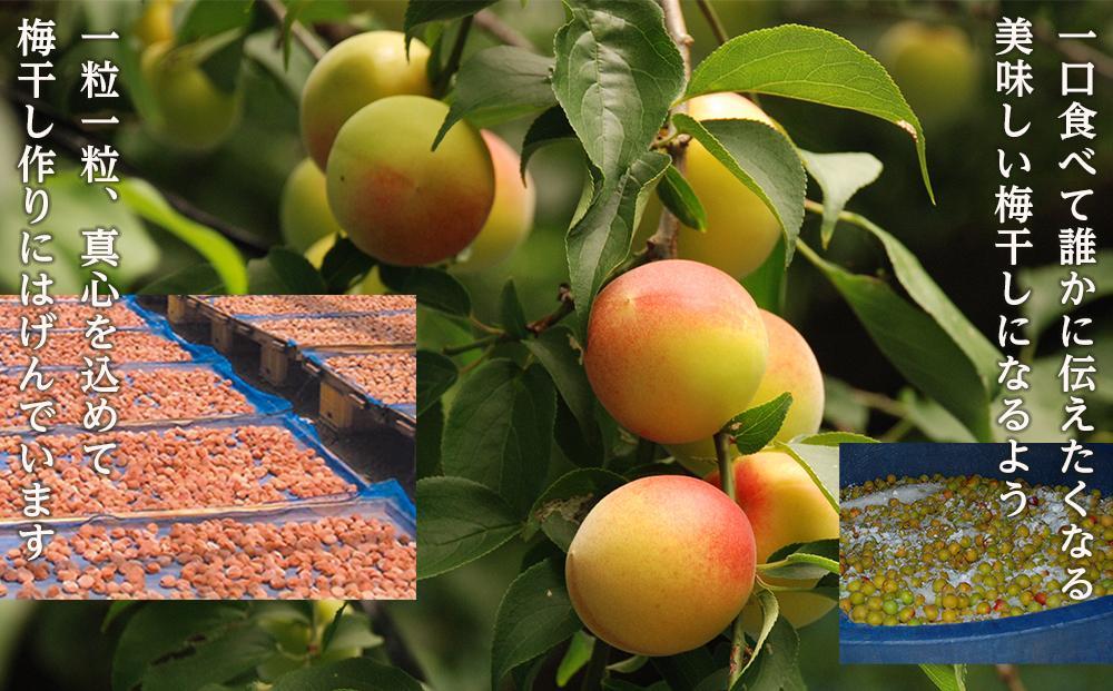 紀州南高梅 蜂蜜つぶれ梅 塩分5％ 1kg (500g×2) ［Kn22］