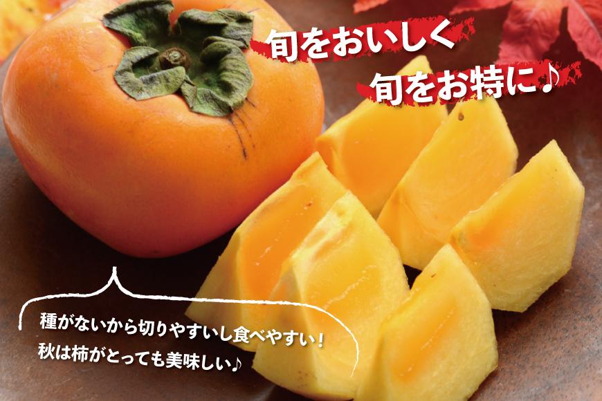 ［先行予約］厳選 たねなし柿 約2.5kg［刀根早生・平核無柿（ひらたねなしかき）］［カキ・種無柿・種無し柿・種なし柿・無核柿］［IKE95］