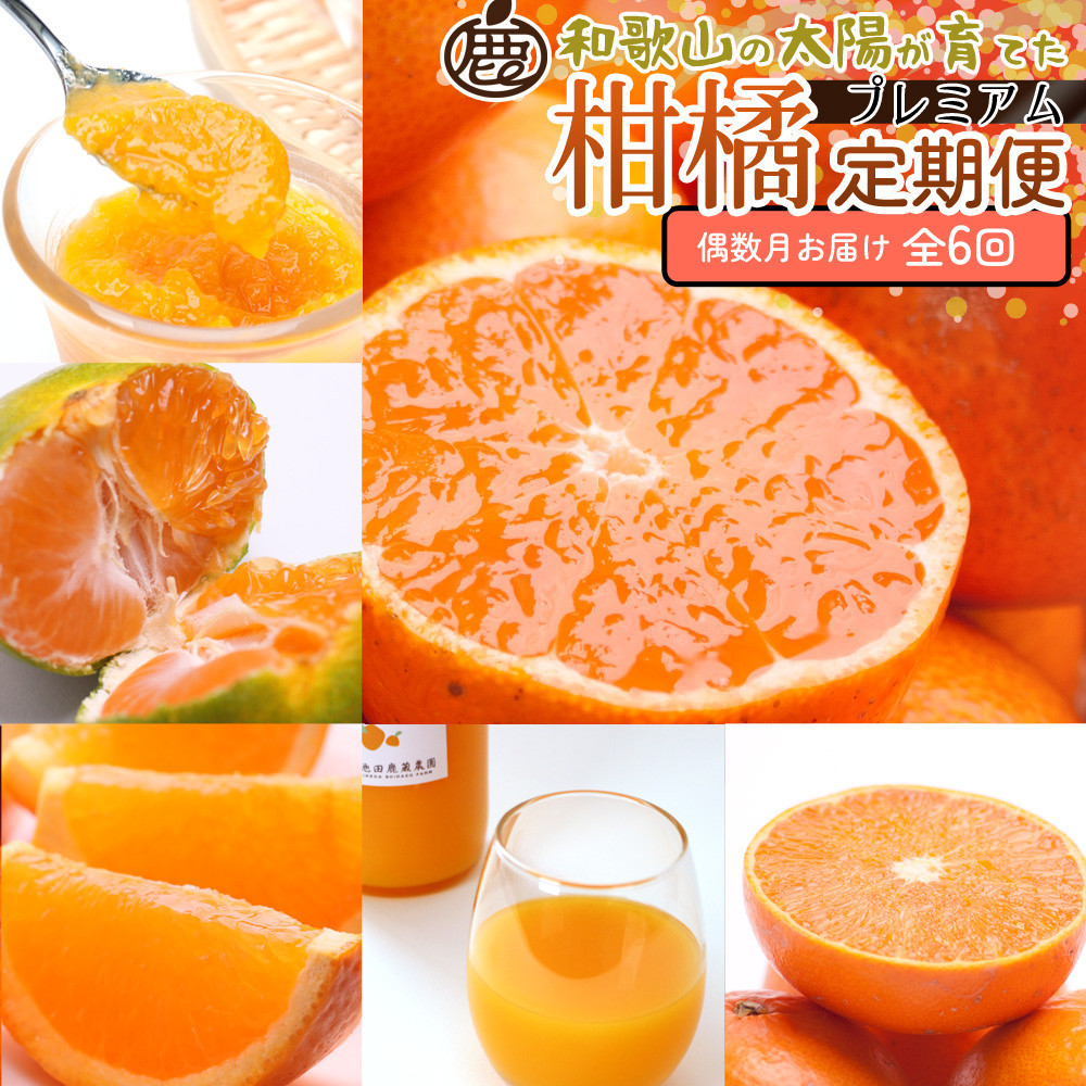 厳選 柑橘定期便M（偶数月）全6回 ［IKE294］