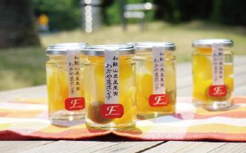 わかやまポンチ　６本セット［FN2］