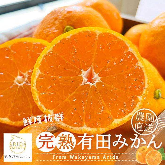 農家直送 完熟 有田みかん 約3kg［先行予約 2025年11月発送］［MS10-1］