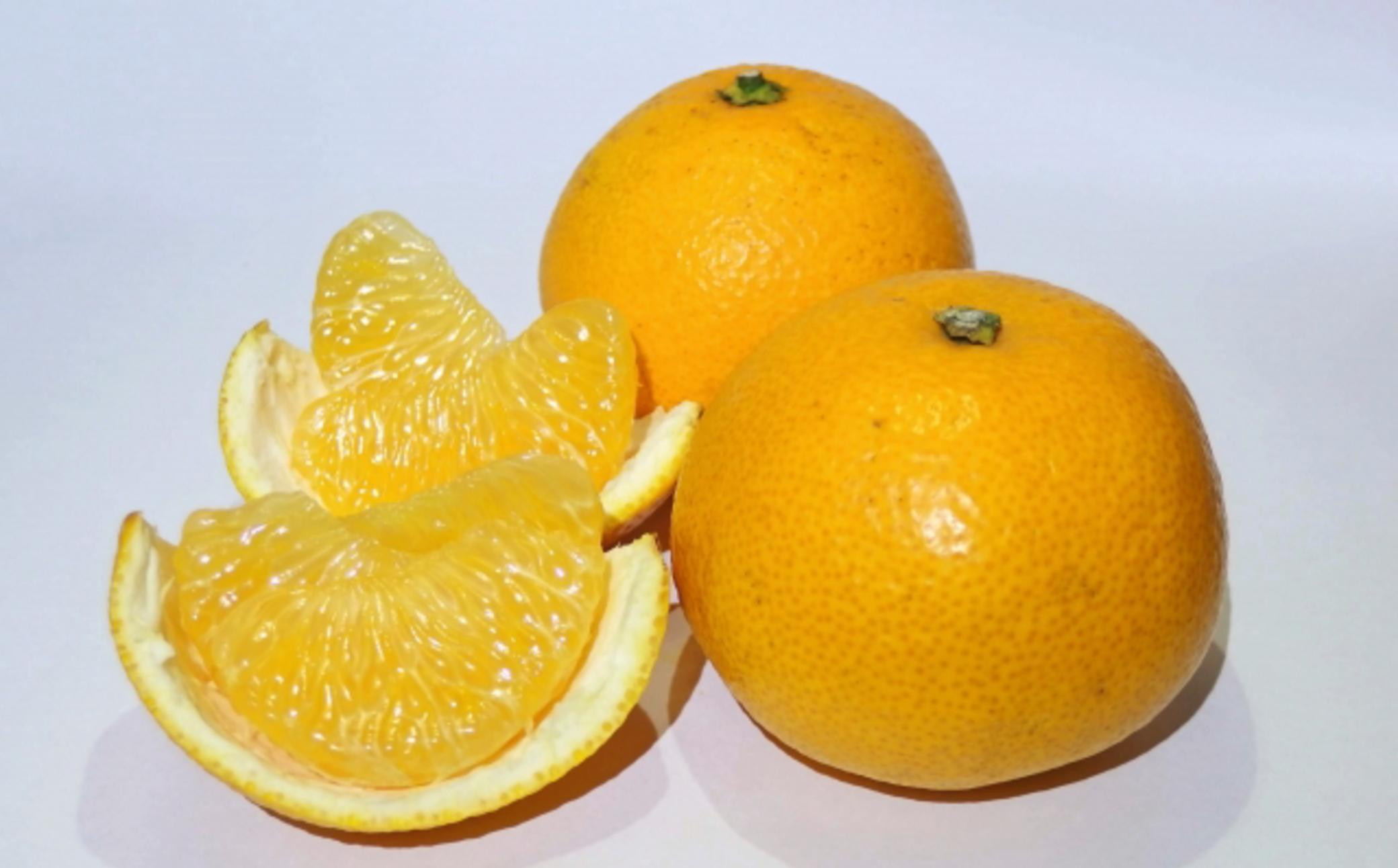 æéžæ èš³ããåæå±± ç±è¯çºç£ å
«æ çŽ10kg ãµã€ãºæ··å ãå®¶åºçš TM205