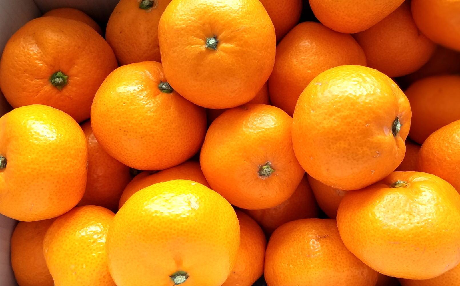 [秀品]和歌山有田みかん約5kg(MまたはLサイズ) ★2025年11月中旬頃より順次発送［TM98］