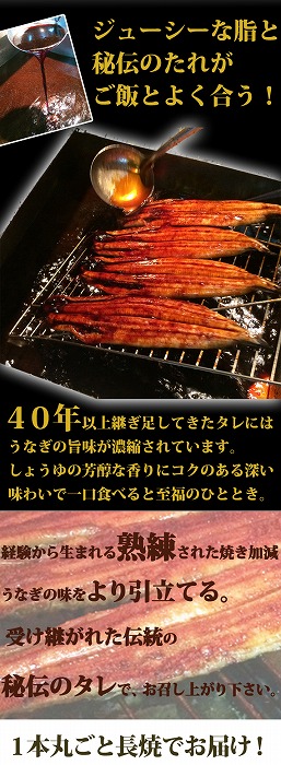螟ァ蝙九し繧、繧コ縲縺オ縺」縺上i譟斐i縺句嵜逕」縺縺ェ縺手調辟シ縺阪3蟆セ