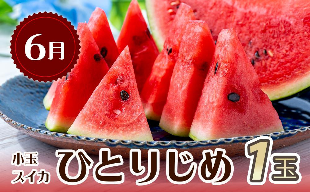 ãå
š3å å®æäŸ¿ã çŽå·åæå±±ç£æ¬ã®ãã«ãŒãã»ããïŒ6æïŒã¹ã€ã«ã»7æïŒæ¡ã»8æïŒæ¢šïŒ UT138