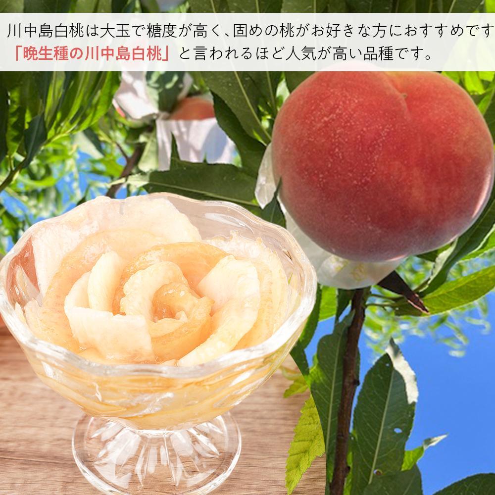 å
è¡äºçŽïŒïŒ»ã¢ã¢ïŒœå·äžå³¶çœæ¡ãçŽ2kg 6ïœ8åå
¥ïŒ»2026幎7ææ«é ããé æ¬¡çºéç§åãã ãã蟲家å³éž KG13