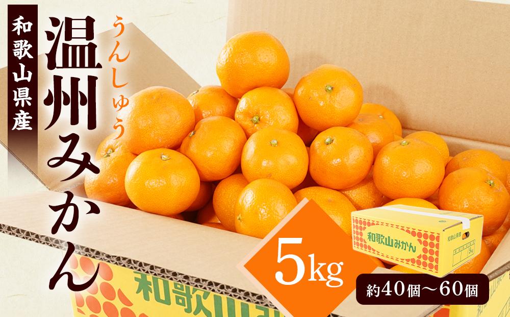 ［先行予約］［2026年11月初旬から11月末頃順次発送］ 和歌山県産温州みかん 約5kg（40個〜60個）秀品 こだわり農家厳選！［KG31］