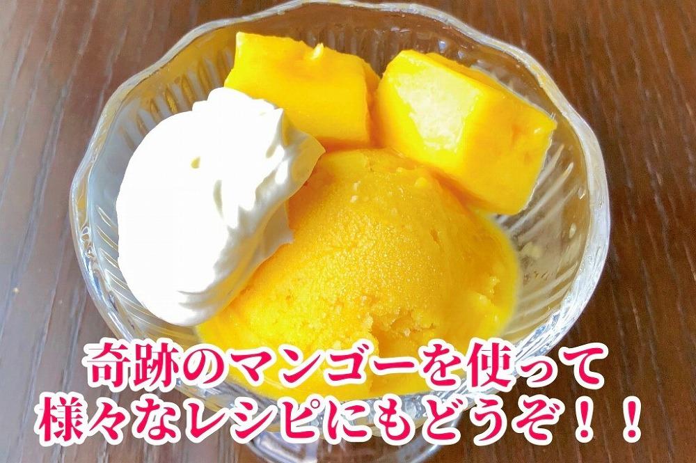 ◆先行予約◆和歌山県産　紀州完熟マンゴー『吉玉』約1kg程度／2〜3玉入り［2026年7月下旬から8月下旬頃順次発送予定］［MG20］