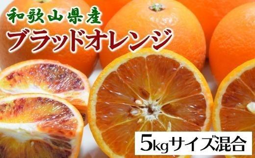 ［希少・高級柑橘］国産濃厚ブラッドオレンジ「タロッコ種」約5kg★2027年4月頃より順次発送予定［TM149］