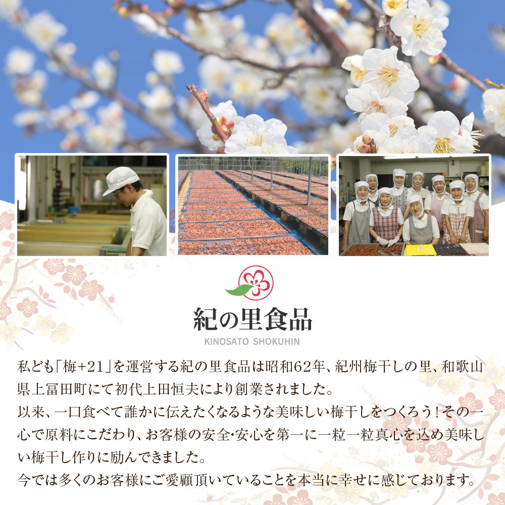 紀州南高梅 蜂蜜つぶれ梅 塩分5％ 1kg (500g×2) ［Kn22］